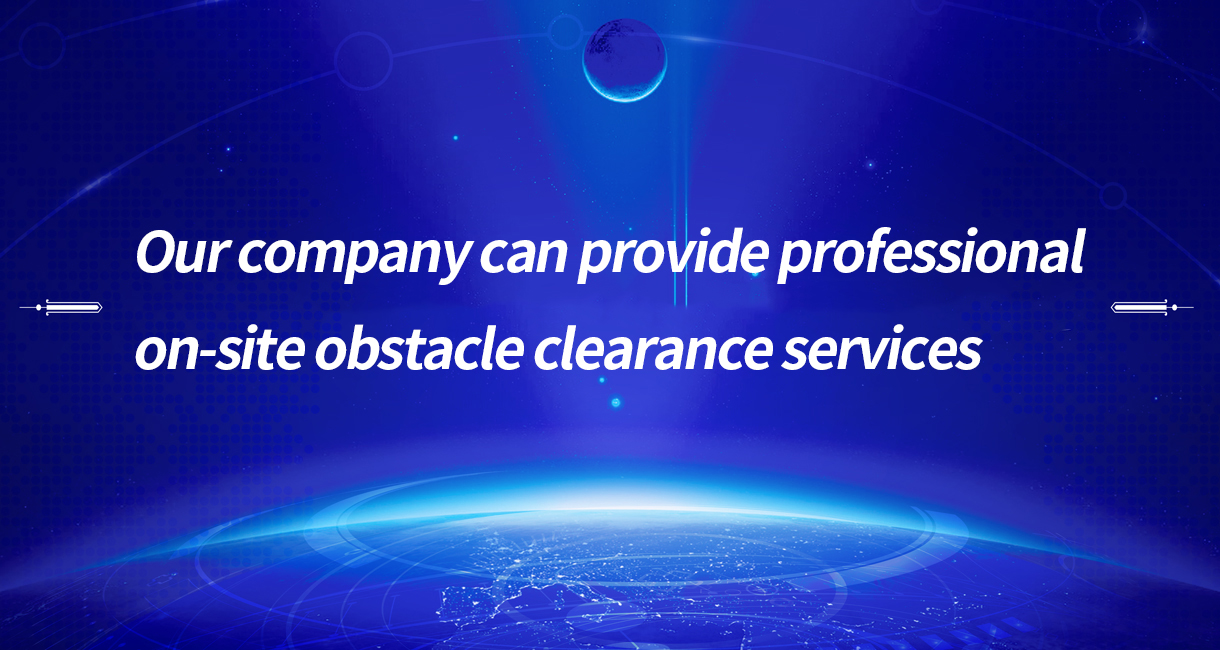 Live cleaning service